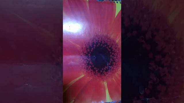 "Отзвенел звонок распахнулась вольница..." автор - исполнитель Тараров Владимир. смотреть онлайн