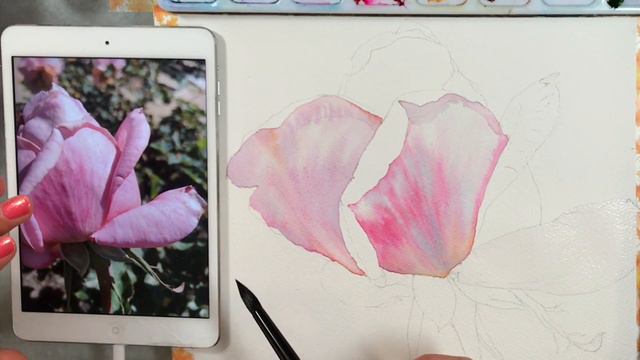 Watercolor ROSE - Preview ONLY for ONLINE CLASS смотреть онлайн