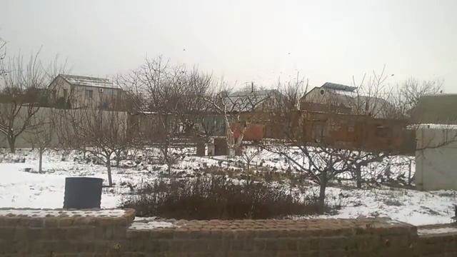 Стая скворцов в январе смотреть онлайн