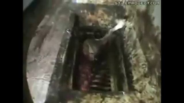 Вот как делают сосиски вся правда! смотреть онлайн