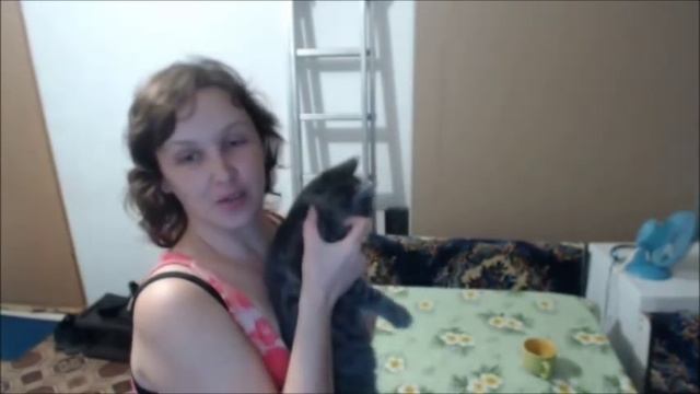 Как капать кошке капли от блох смотреть онлайн