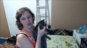 Как капать кошке капли от блох