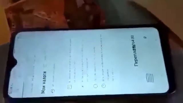 Радостное путешествие