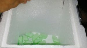 Как перевозить аквариумную рыбку в мороз (жару )