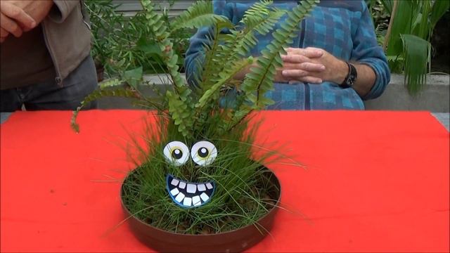 Moquerie: Je l'aurai un jour! смотреть онлайн