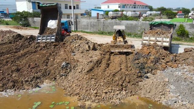 Update Process!! Excellent Techniques Skills Operator Bulldozer Pushing Dirt with Truck loading Dir смотреть онлайн