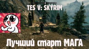 TES V SKYRIM. Лучший старт.МАГ