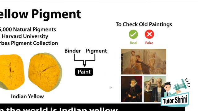 Indian Yellow Pigment | Rarest Pigment Color смотреть онлайн