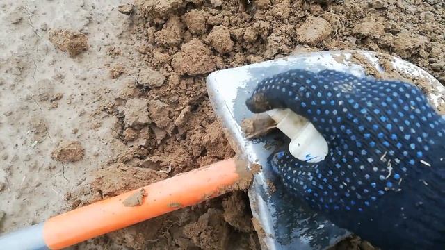 поля делятся своими сокровищами смотреть онлайн