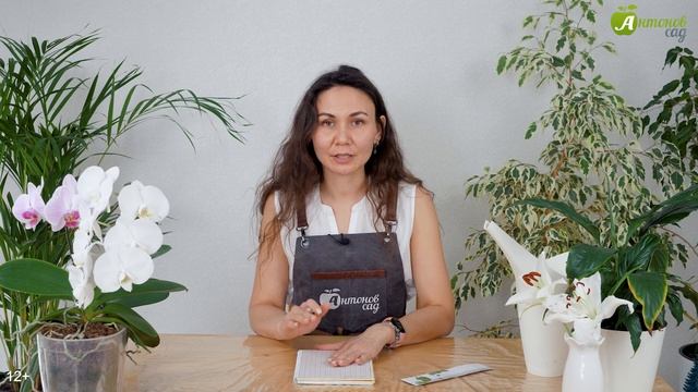 Что после чего сажать? + Таблица севооборота