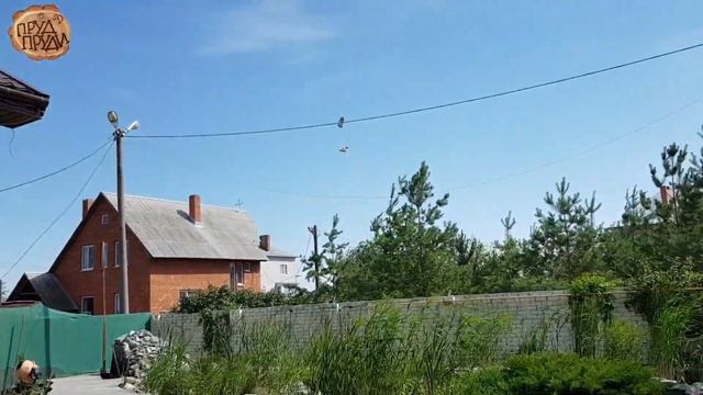 Биоплато для пруда//Тростник прокалывает пленку в пруду? смотреть онлайн
