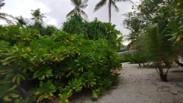 Обзор территории (часть 1) Kuredu Island Resort & Spa, Куреду, Мальдивы июнь 2021 смотреть онлайн