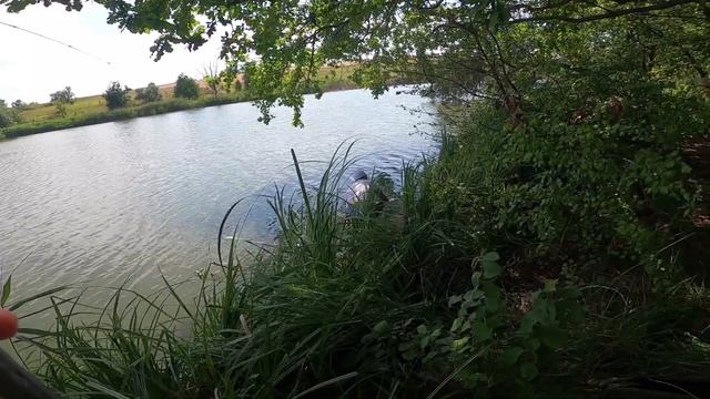 Озеро майбутнього! Карасі, лящі, та монстри клюють постійно! Використали всю наживку та приманку. смотреть онлайн