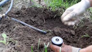 Как сделать полив газона своими руками