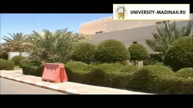 Исламский Университет Медины обзор  Islamic University Of Medina 1