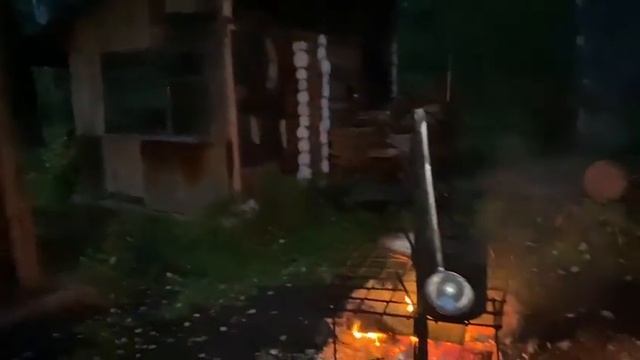 Зубы растут всю жизнь!