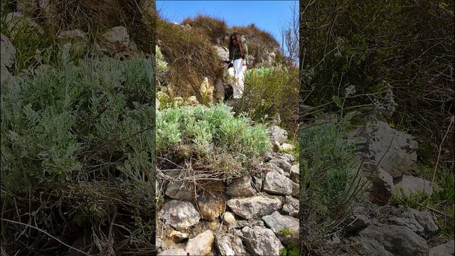 Форос смотреть онлайн