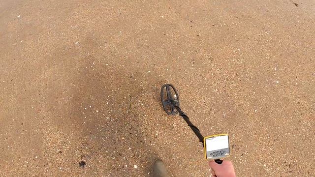 Пляжный поиск с Garrett Apex