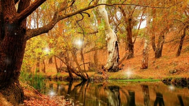 Истории из жизни. Вы так неожиданно сбежали со свадьбы, прямо Золушка...Жизненные истории