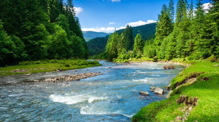 Бирюзовая река. Великолепная горная река ✦ Звуки леса и пение птиц ✦ Relax Sleep смотреть онлайн