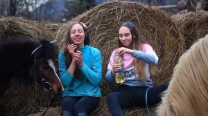 ОТВЕЧАЙ или СТРАДАЙ / Как хорошо мы знаем друг друга? Коноблогеры