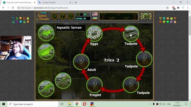 Frog Life Cycle - Fun Biology Educational Game смотреть онлайн