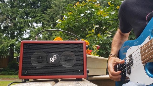 Phil Jones Bass Double Four unboxing and review смотреть онлайн