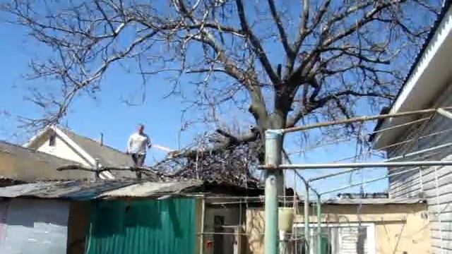 как нам пилили орех смотреть онлайн