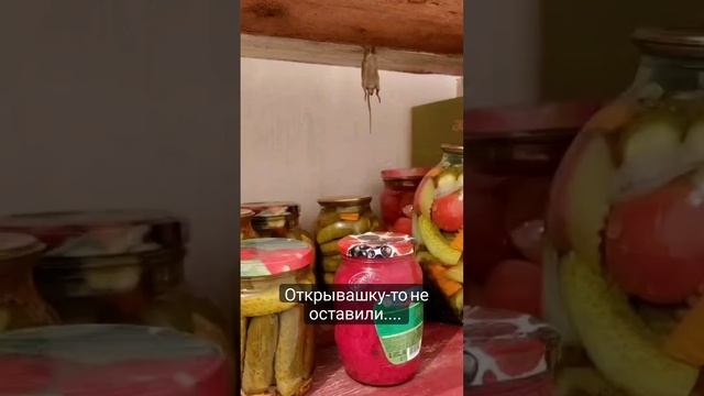 VID_20230205_170513_566.mp4