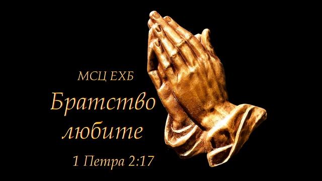 "Братство любите". П. А. Дудников. МСЦ ЕХБ. смотреть онлайн