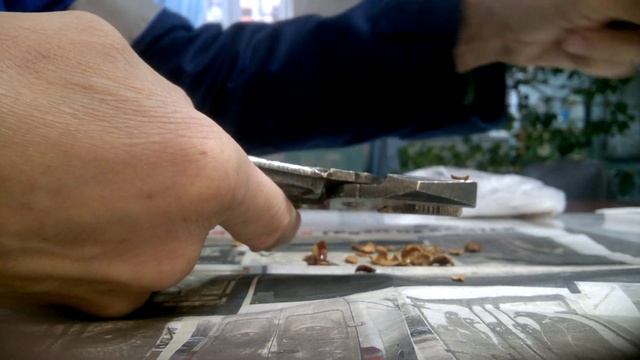 Как быстро и бережно расколоть абрикосовые косточки. смотреть онлайн