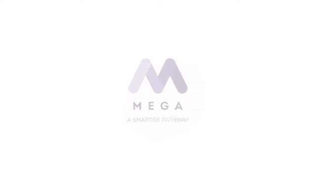 Company Profile MEGA смотреть онлайн