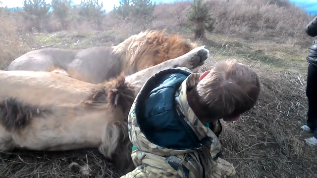 Как Чук обидел Гека смотреть онлайн