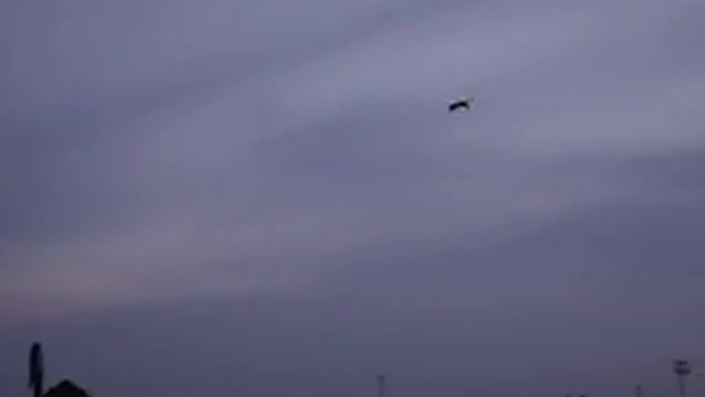 Goose Hunting Team WackIT #6 смотреть онлайн