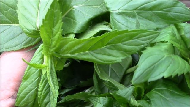 Готовка на Открытом Воздухе