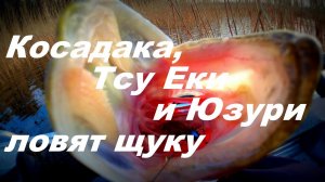 Косадака, Юзури и Тсу Еки ловят щуку