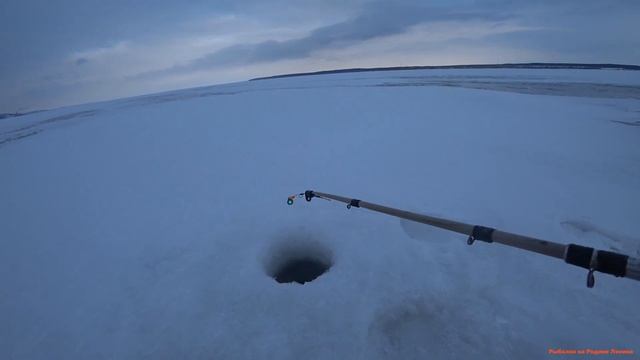Судак в поисках смотреть онлайн