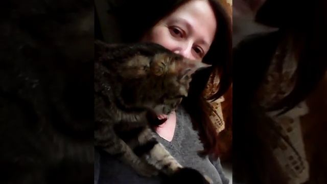 Кунька просит протереть окно смотреть онлайн