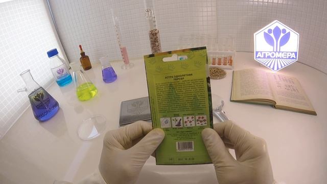 Астра Пионовидная Персер. Поиск смотреть онлайн