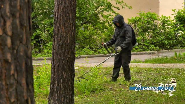 Рубрика «Снежинск сегодня» смотреть онлайн