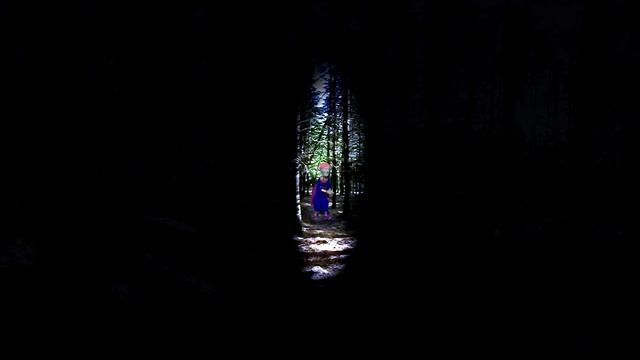 Жуткое видео 360 градусов в лесу смотреть без регистрации и смс смотреть онлайн