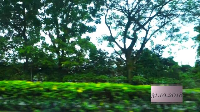 Week with me #3 // Сингапур // Universal Studios смотреть онлайн