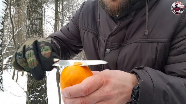 WKL - рецепт выбора кухонного ножа.