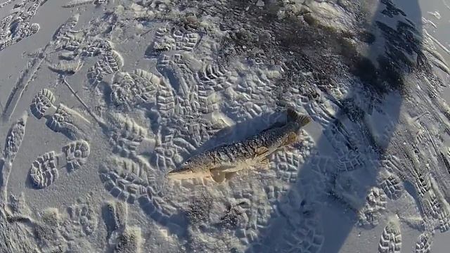 Экстримальная рыбалка, или на лодке по льду))) смотреть онлайн