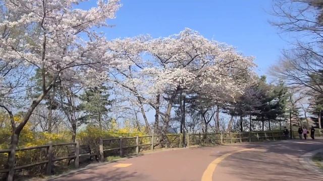 쇼팽 "봄의 왈츠"/Chopin "Spring Waltz" 연속듣기/ Classical Relaxation 4k смотреть онлайн