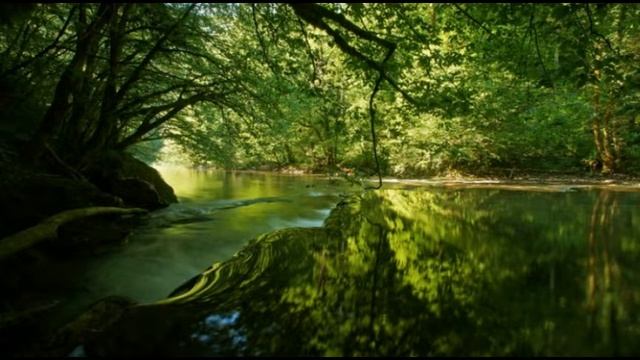 15 МИНУТ РАССЛАБЛЕНИЯ ПОД ЗВУКИ РЕКИ И ДОЖДЯ