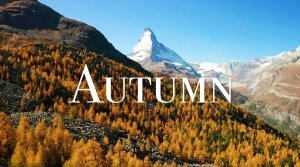 Осень 4K - Живописный Расслабляющий Фильм С Успокаивающей Музыкой.