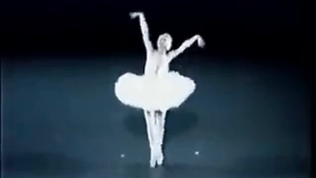 Camille Saint-Saëns: Carnival of Animals - The Dying Swan (Le Cygne) - Dancer, Svetlana Zakharova смотреть онлайн