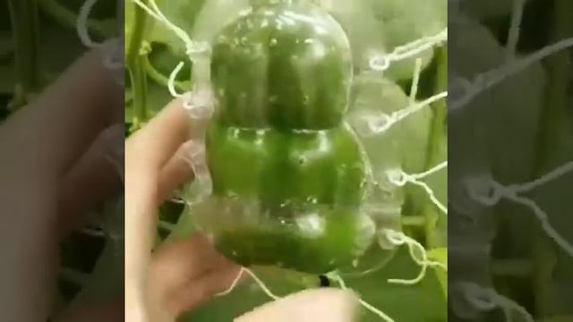 Зачем? смотреть онлайн