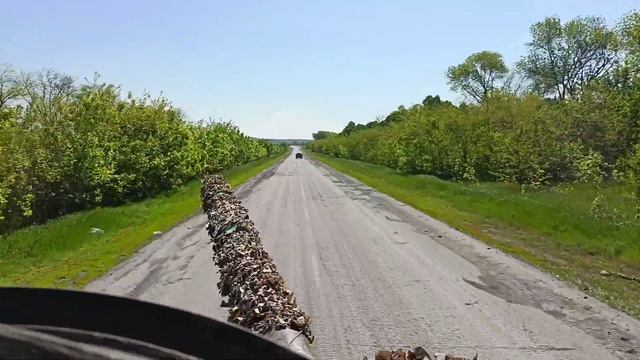 22 мая 2022 г. смотреть онлайн